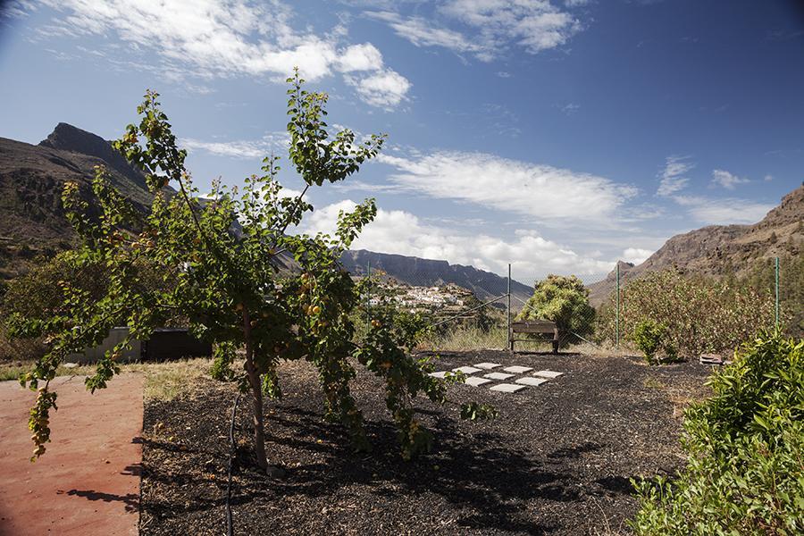 Гостевой дом Ecotara Canary Islands Фатага Номер фото