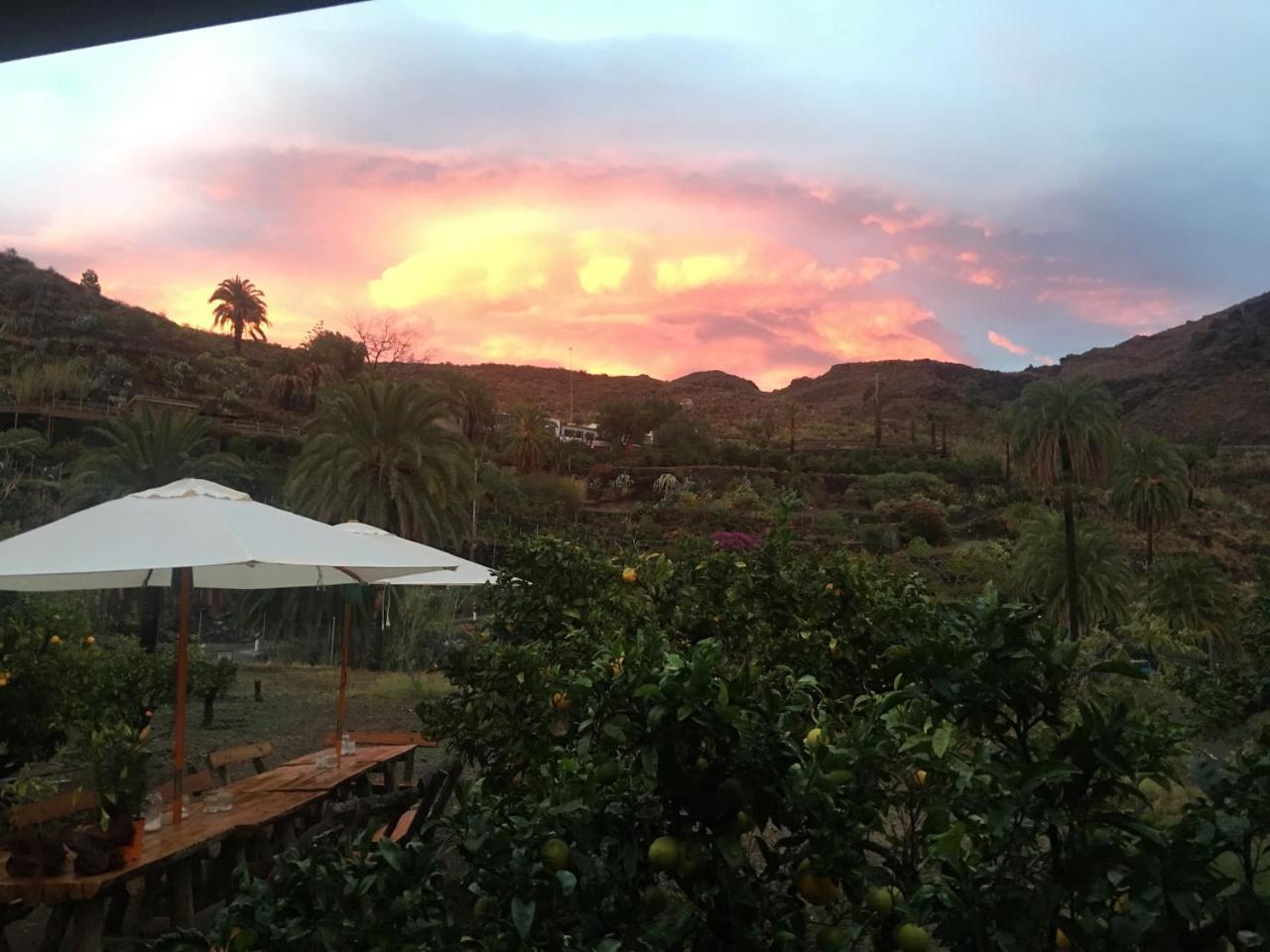 Гостевой дом Ecotara Canary Islands Фатага Экстерьер фото