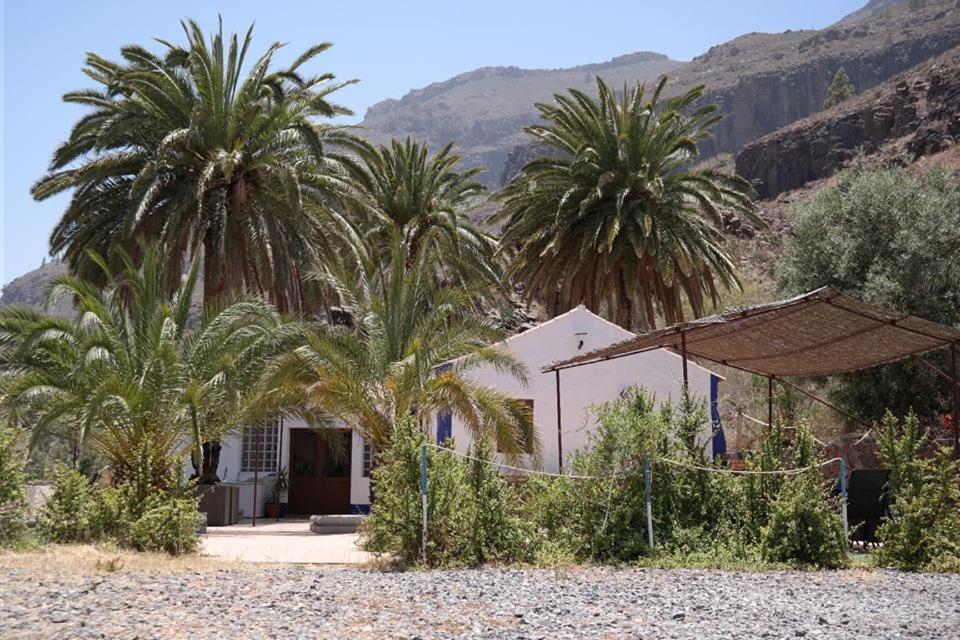 Гостевой дом Ecotara Canary Islands Фатага Экстерьер фото